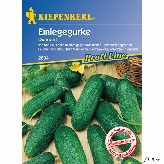 Kategorie <b>Gemüse-Samen </b> - Einlegegurke 'Diamant' Lieferform: Portionssaatgut - Cucumis sativus