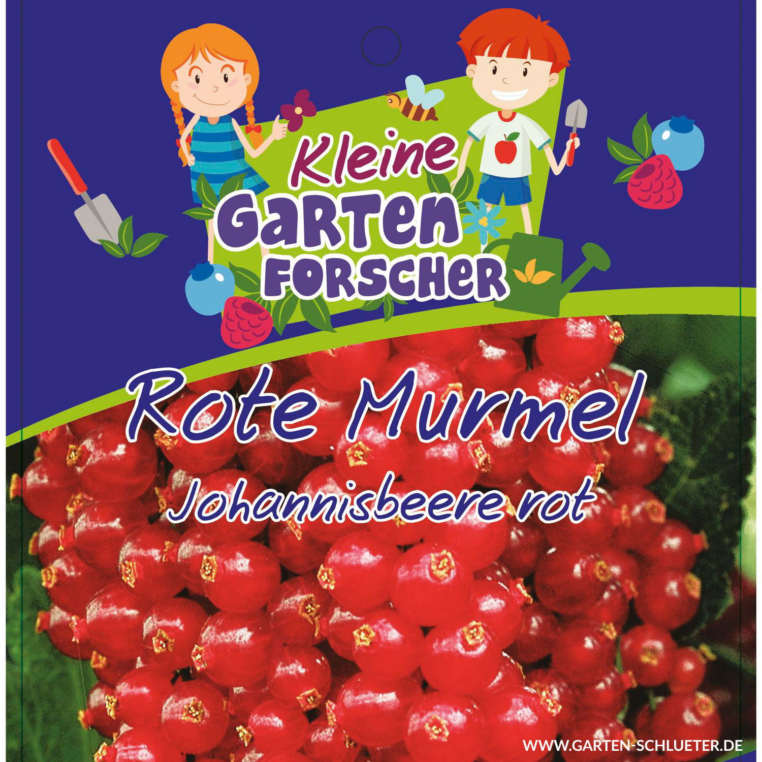 Rote Johannisbeere 'Rote Murmel' - Kleine Gartenforscher 3 Liter Container, 1 Stück Lieferform: Im 3 Liter Topf
