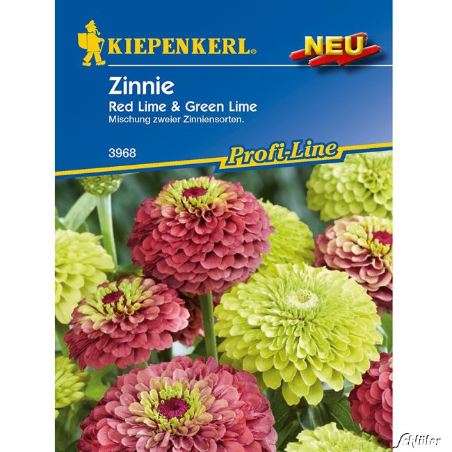 Zinnie 'Red Lime' & 'Green Lime' Lieferform: Portionssaatgut