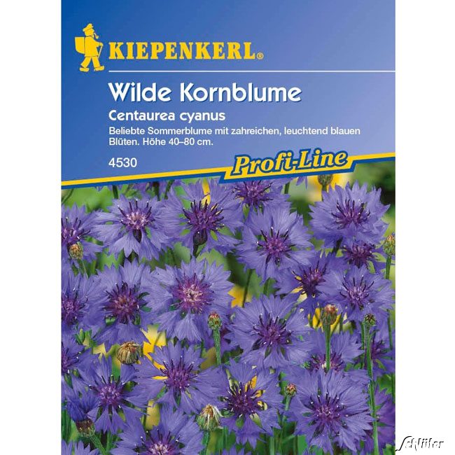 Kornblume Lieferform: Portionssaatgut
