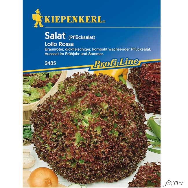 Pflücksalat 'Lollo Rossa Lieferform: Portionssaatgut