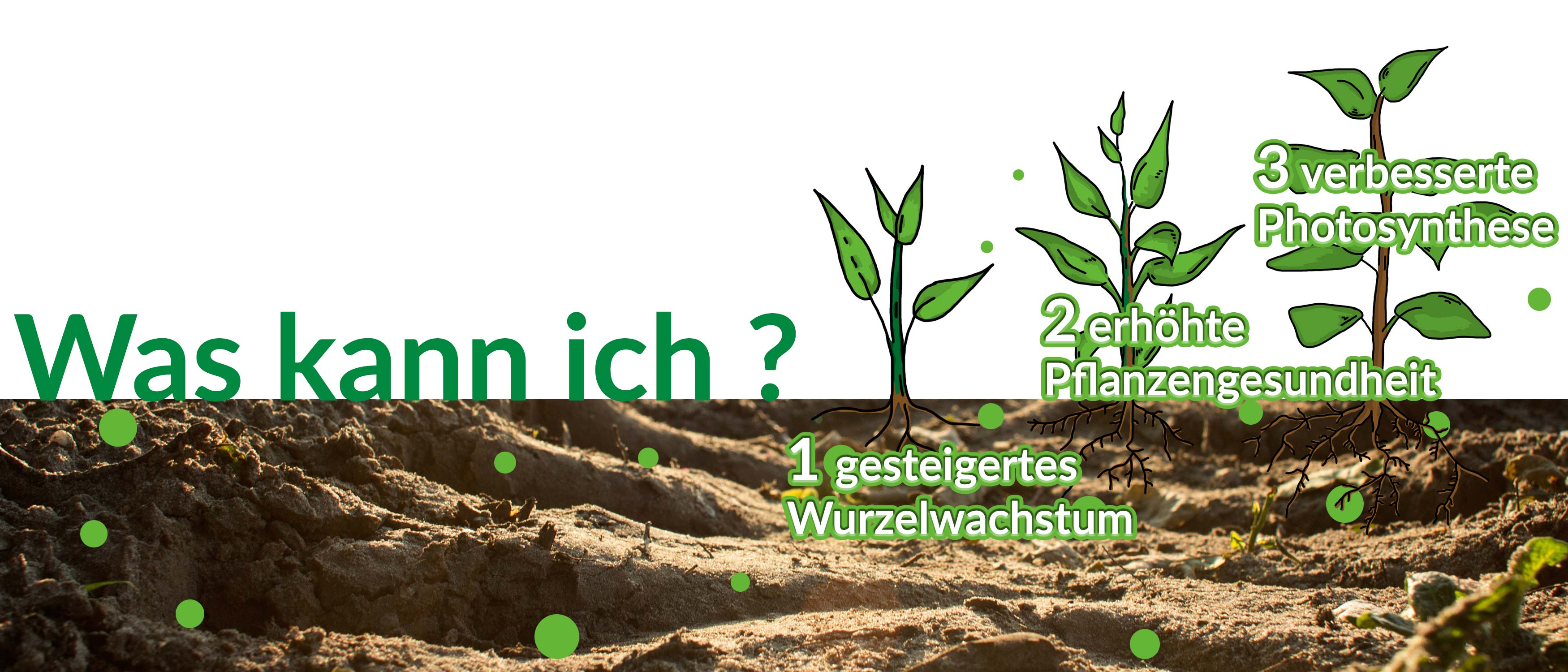 gr-nmacher_banner_2