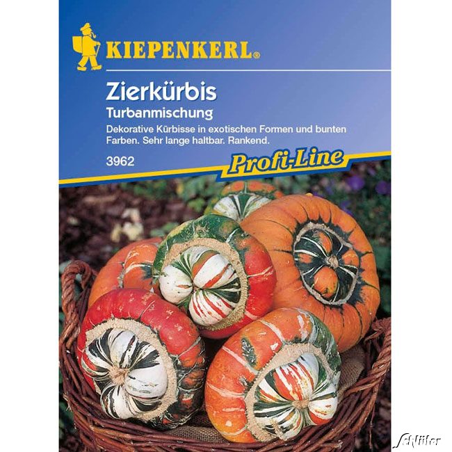 Zierkürbis Turbanmischung Lieferform: Portionssaatgut