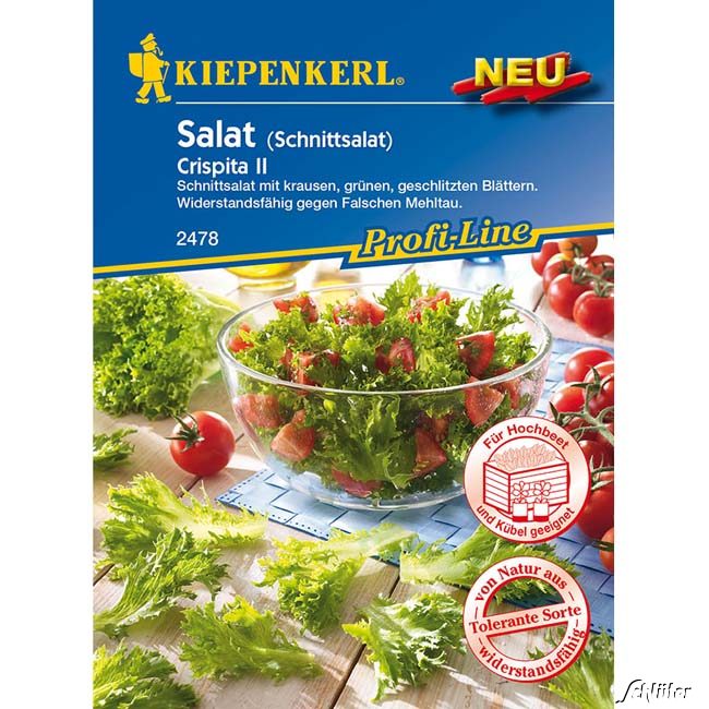 Salat 'Crispita II' - Schnittsalat Portionssaatgut, für ca. 200 Pflanzen Lieferform: Portionssaatgut