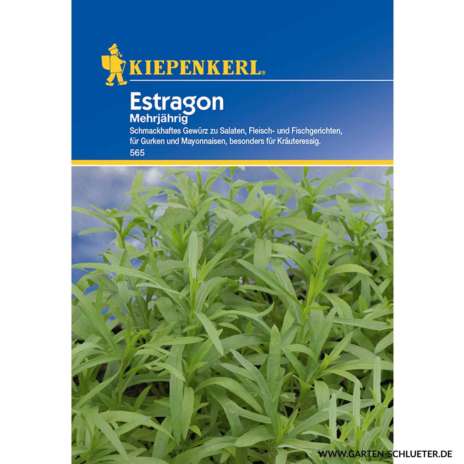 Estragon Lieferform: Portionssaatgut