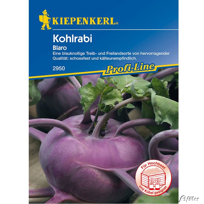Kohlrabi 'Blaro' Lieferform: Portionssaatgut