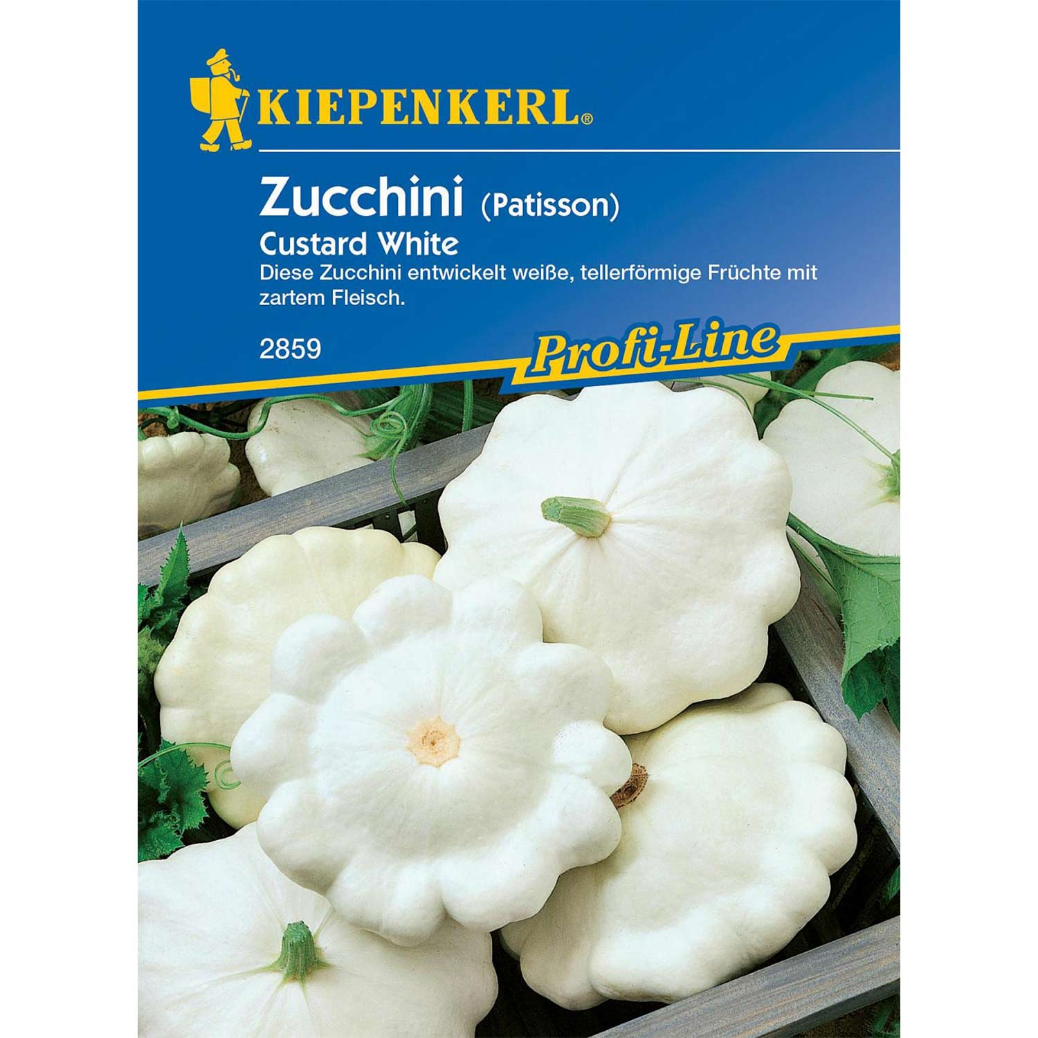 Weißer Zucchini 'Custard White / Ufo weiß' Lieferform: Portionssaatgut