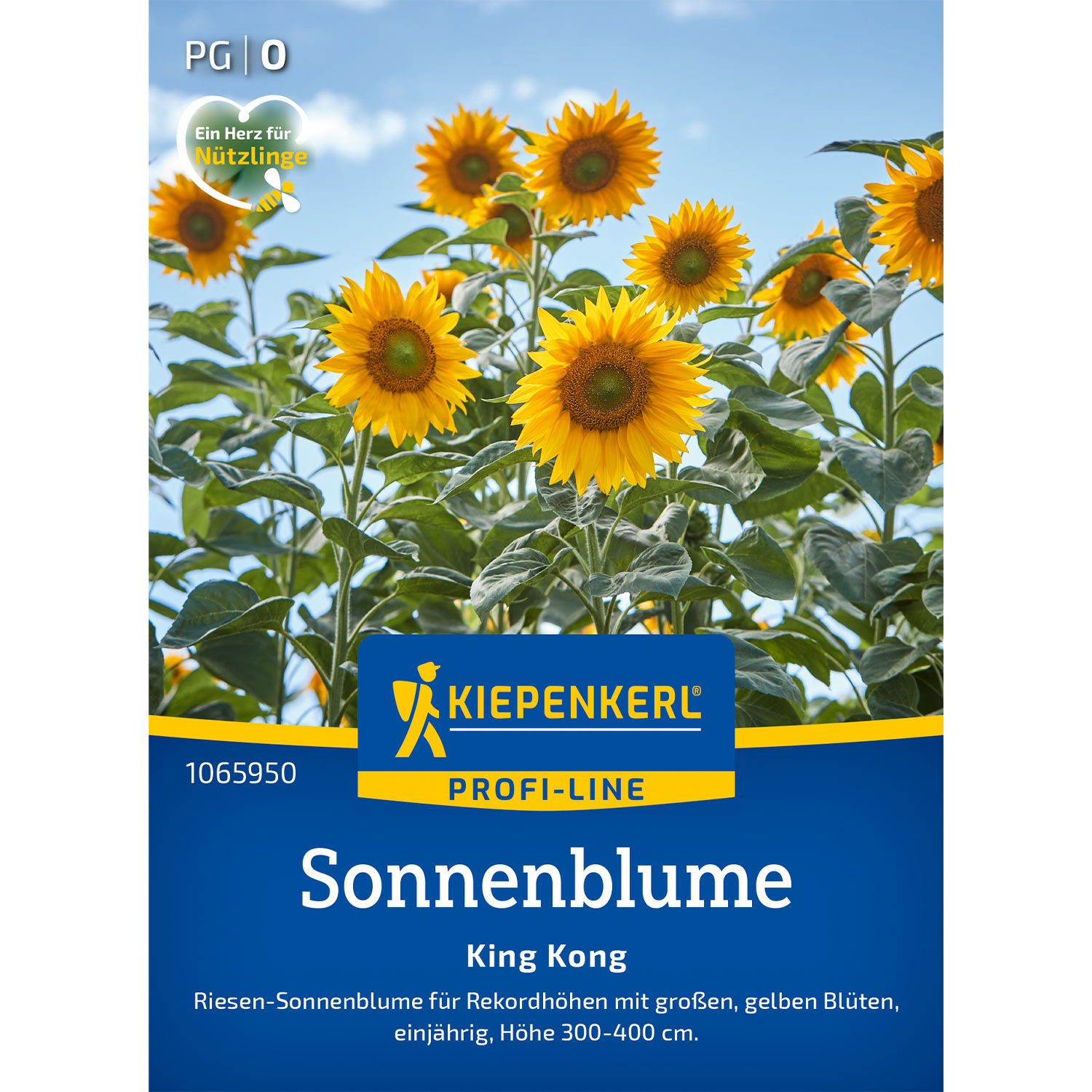 Zwiebel- und Knollenstauden - Sonnenblume 'King Kong' Lieferform: Portionssaatgut - Helianthus annuus