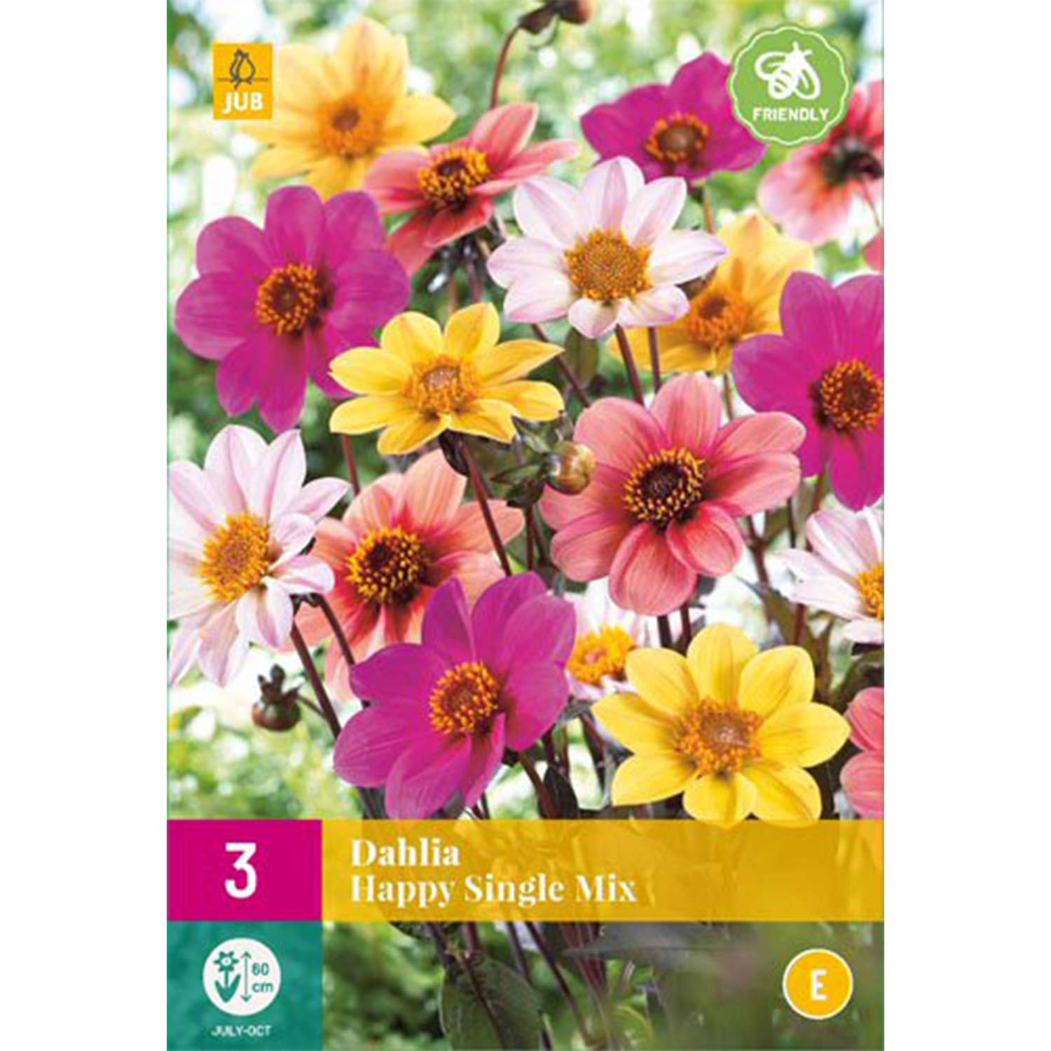 Kategorie <b>Produkt ohne Kategoriezuordnung </b> - Dunkellaubige Dahlien-Mischung 'Happy Single Mix' - 3 Stück Liefergröße: Zwiebelgröße 1 - Dahlia 'Happy Single Mix'