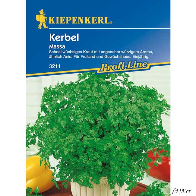 Kerbel 'Massa' Lieferform: Portionssaatgut