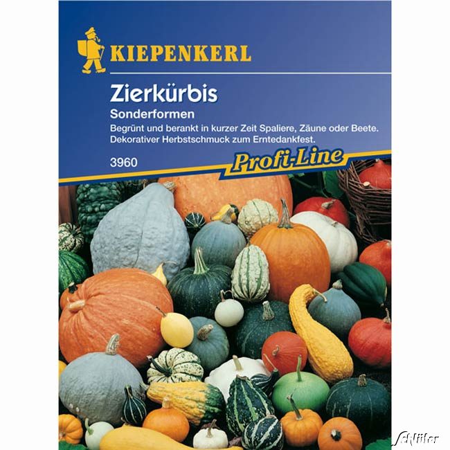 Zierkürbis 'Sonderformen-Mischung' Lieferform: Portionssaatgut