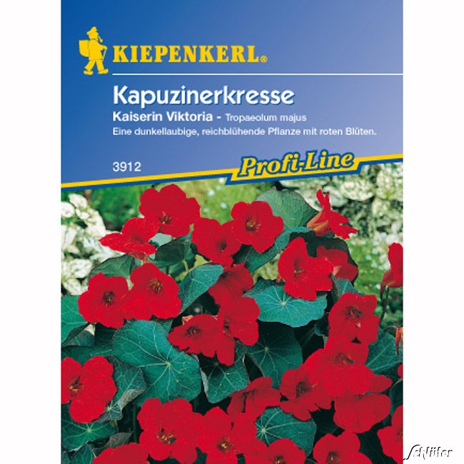 Kapuzinerkresse 'Kaiserin Viktoria' Lieferform: Portionssaatgut