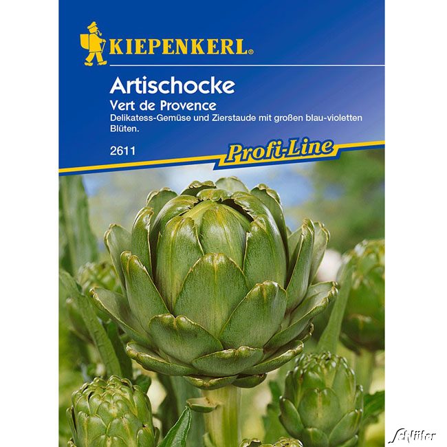 Artischocke 'Vert de Provence' Lieferform: Portionssaatgut