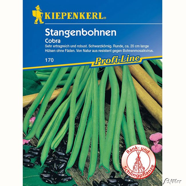 Stangenbohne 'Cobra' Lieferform: Portionssaatgut