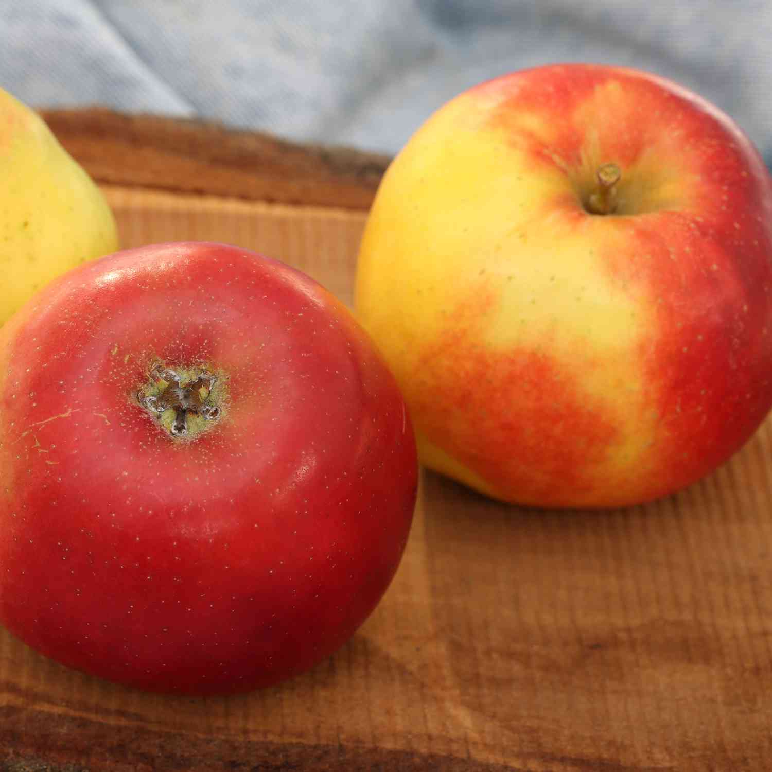 Apfelbusch 'Jonagold' Winterapfel