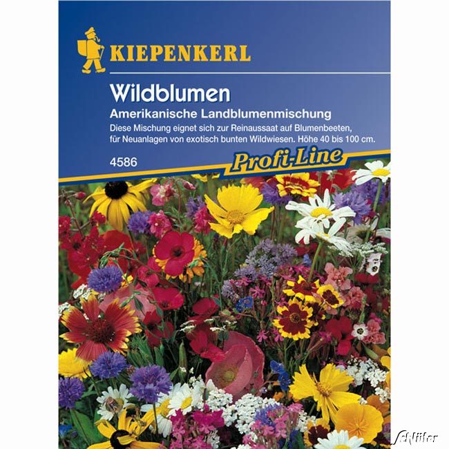 Amerikanische Landblumenmischung Lieferform: Portionssaatgut
