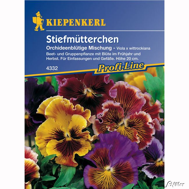 Stiefmütterchen 'Orchideenblütige Mischung' Lieferform: Portionssaatgut