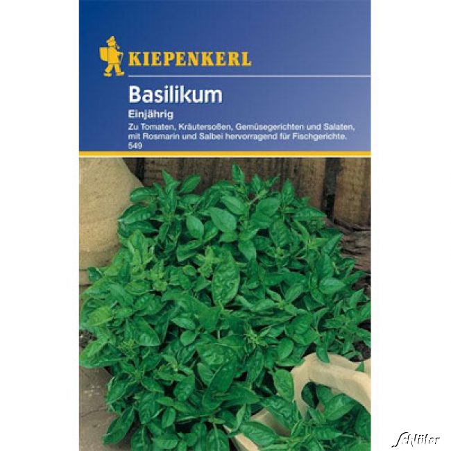 Basilikum, einjährig Lieferform: Portionssaatgut