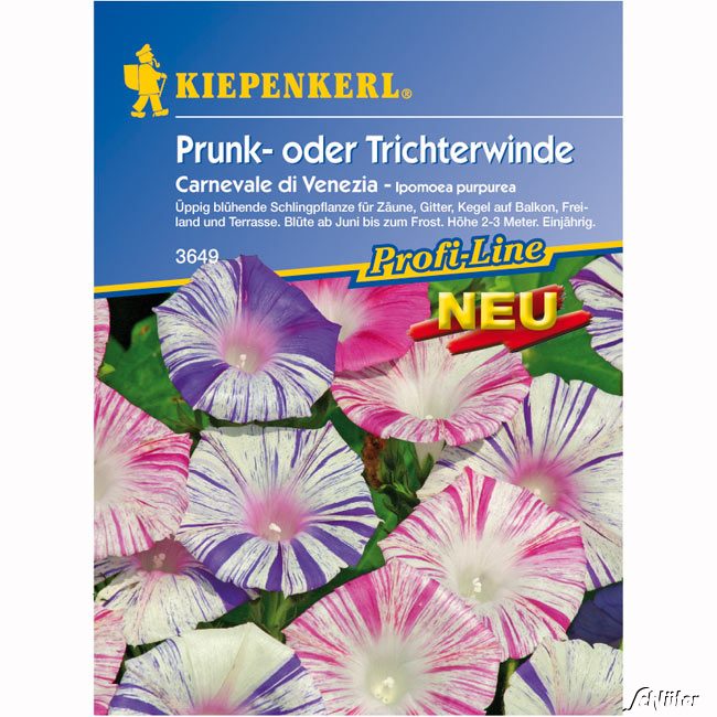 Winde (Prunkwinde) 'Carnevale di Venezia' Lieferform: Portionssaatgut