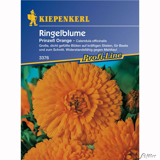 Ringelblumen 'Prinzeß Orange' Lieferform: Portionssaatgut