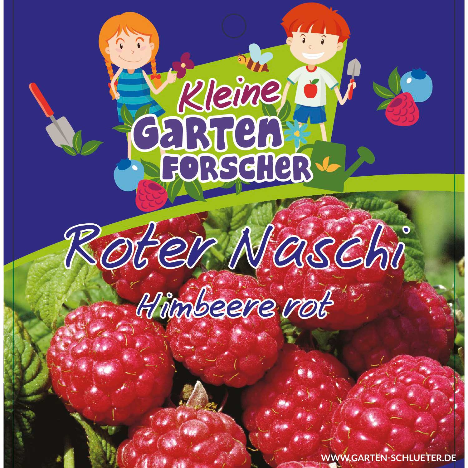 Rote Himbeere 'Roter Naschi' Kleine Gartenforscher Liefergröße: ca. 40 - 60 cm