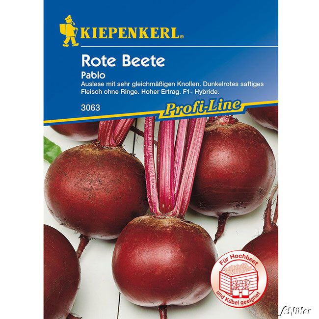 Rote Beete 'Pablo' Powersaat Lieferform: Portionssaatgut