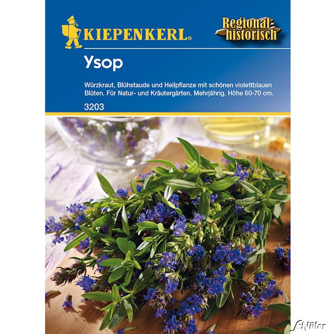 Ysop - Würzkraut Lieferform: Portionssaatgut