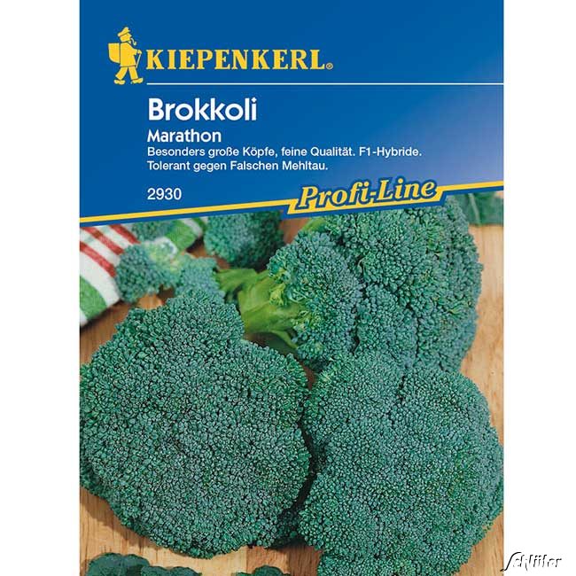 Brokkoli 'Marathon' Lieferform: Portionssaatgut