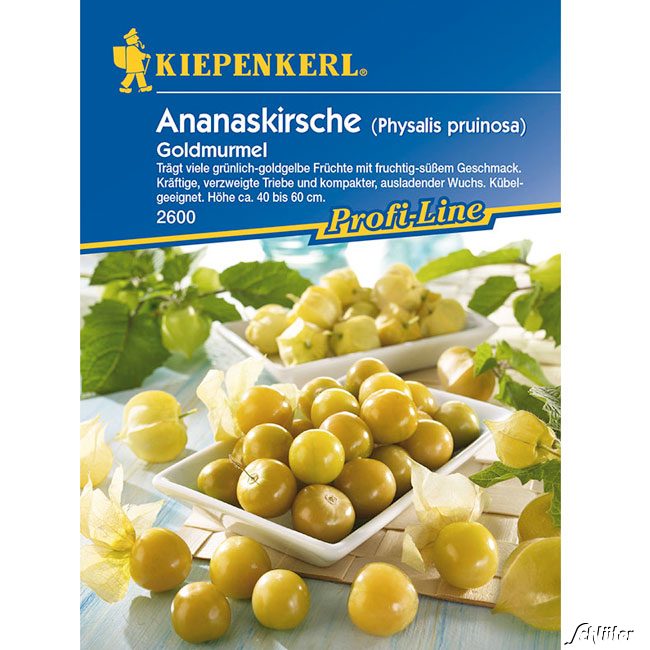 Ananaskirsche 'Goldmurmel' Lieferform: Portionssaatgut