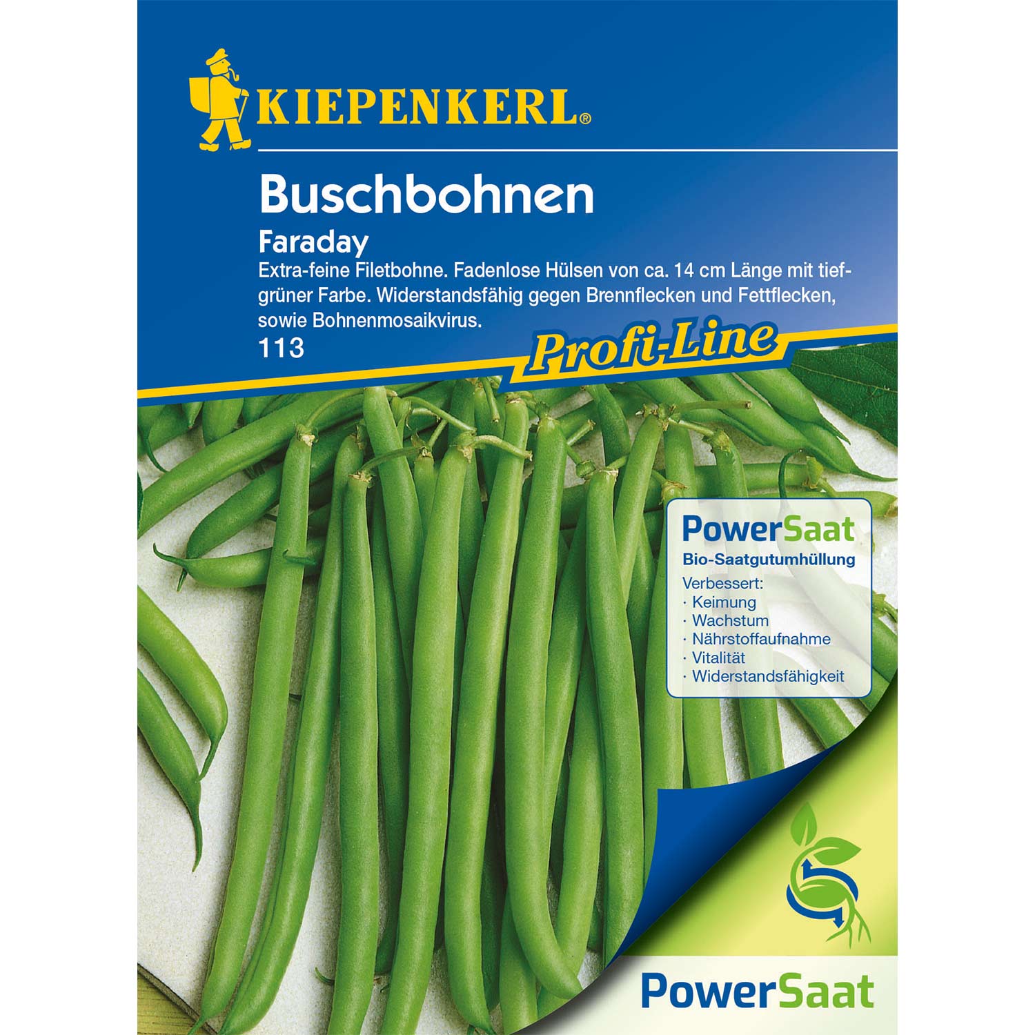 Buschbohne/Filetbohne 'Faraday' Lieferform: Portionssaatgut