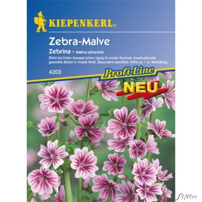 Zebra-Malve 'Zebrina' Lieferform: Portionssaatgut