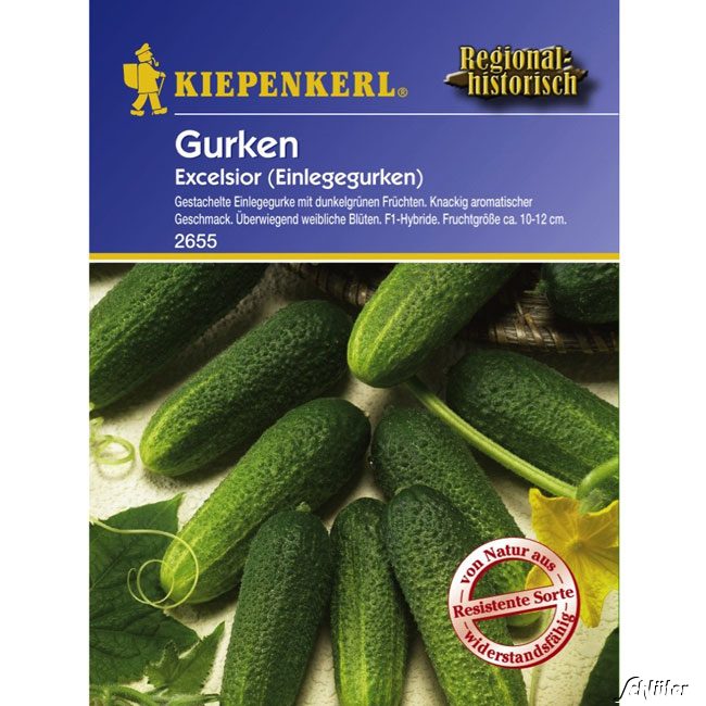 Gurke 'Excelsior F1' Lieferform: Portionssaatgut
