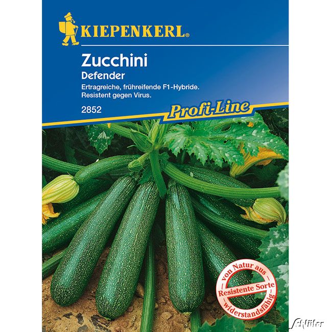 Zucchini 'Defender' Lieferform: Portionssaatgut