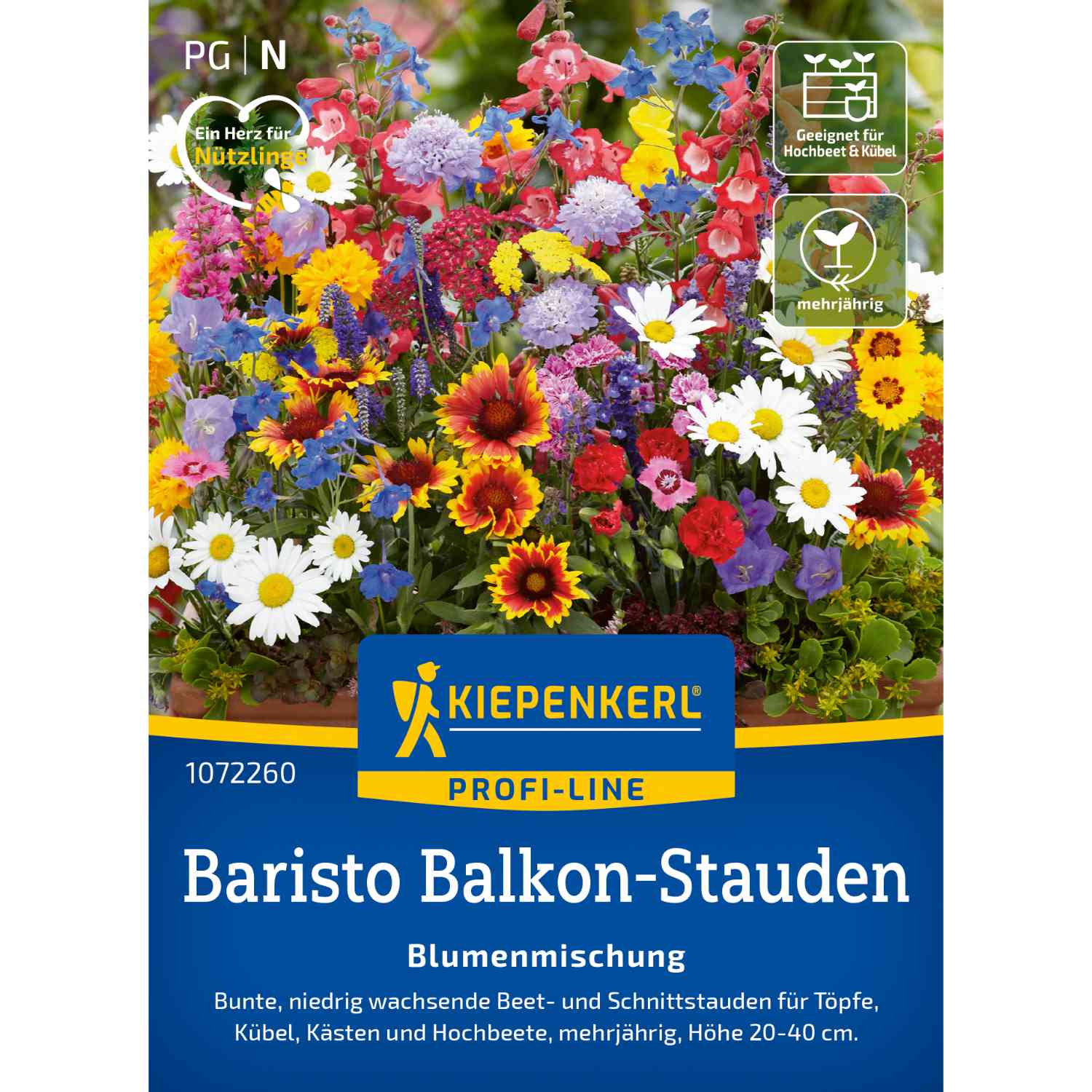 Kategorie <b>Zwiebel- und Knollenstauden </b> - Balkon-Stauden 'Baristo Mischung' Lieferform: Portionssaatgut -