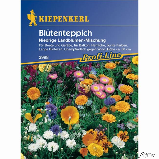 Blütenteppich Lieferform: Portionssaatgut