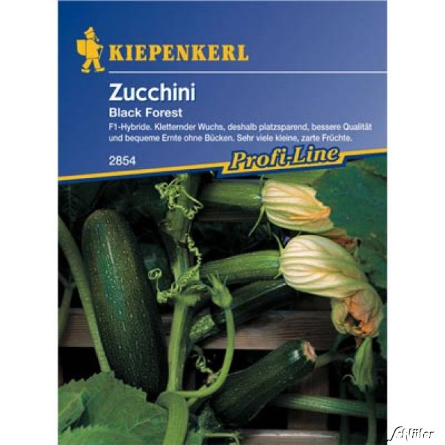 Zucchini 'Black Forest' Lieferform: Portionssaatgut