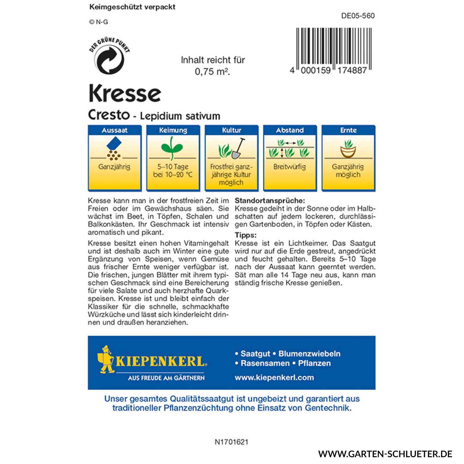 Kresse 'Cresto' Lieferform: Saatgut