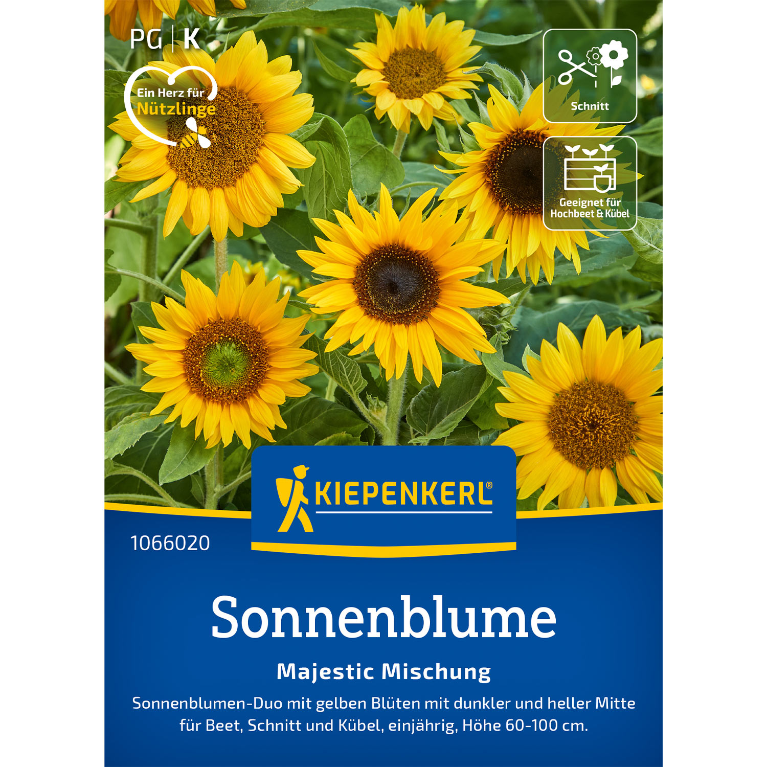 Kategorie <b>Zwiebel- und Knollenstauden </b> - Sonnenblumen 'Majestic Mix' Lieferform: Portionssaatgut - Helianthus annuus
