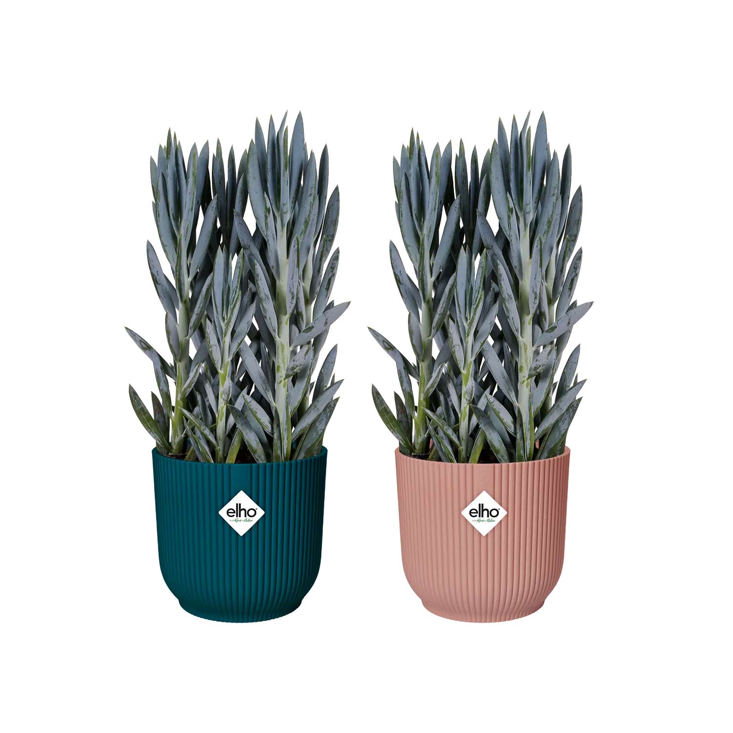 Indoor-Blumentopf 'Vibes Fold Rund' mit Rollen 35 cm, tiefblau