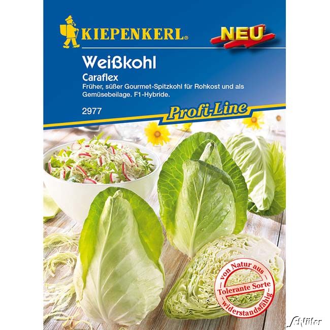 Weißkohl 'Caraflex' Lieferform: Portionssaatgut