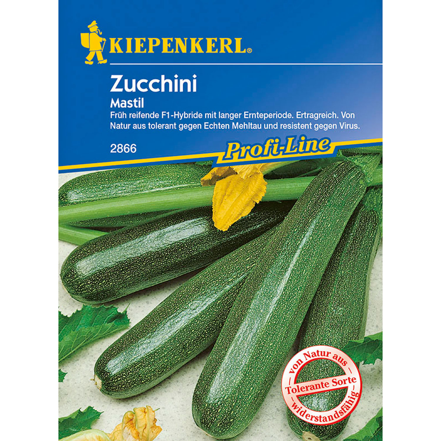 Zucchini 'Mastil' Lieferform: Portionssaatgut