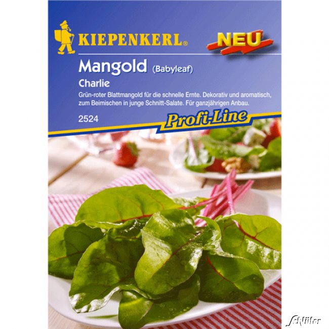 Mangold 'Charlie' Lieferform: Portionssaatgut