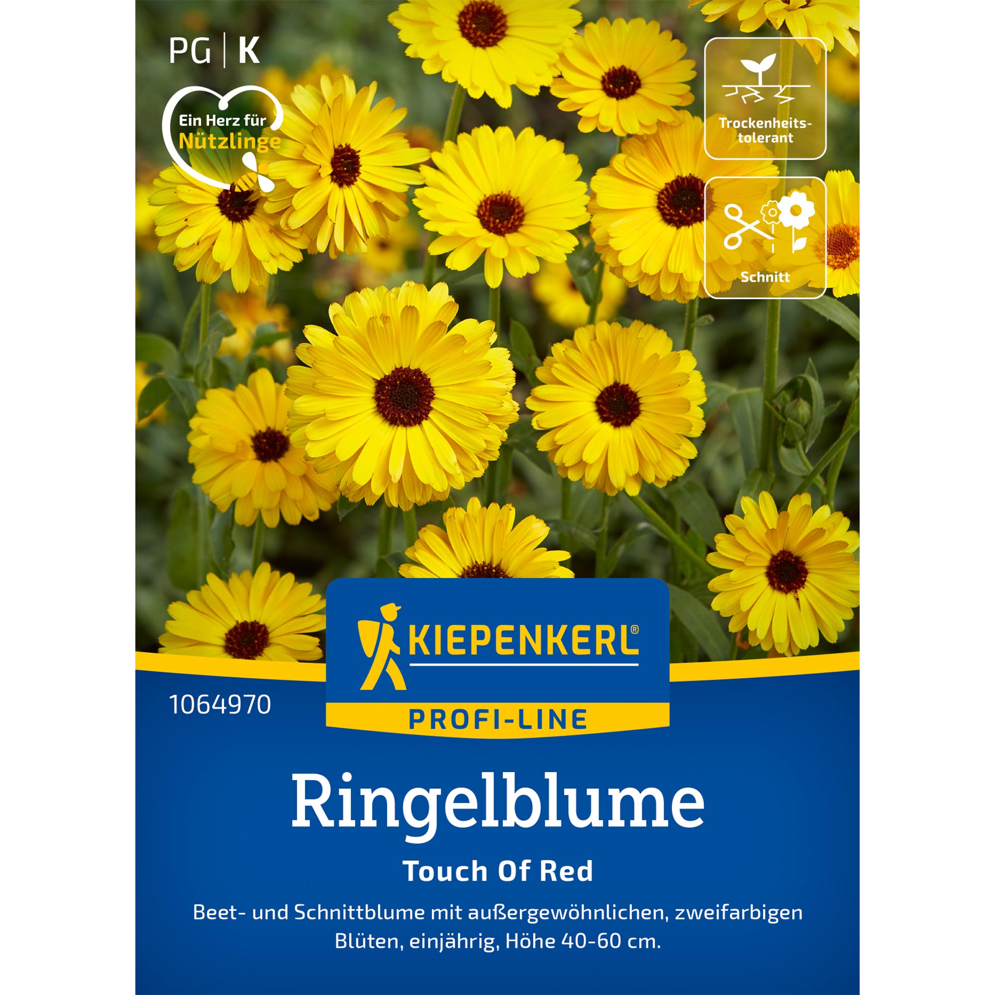 Kategorie <b>Zwiebel- und Knollenstauden </b> - Ringelblumen 'Touch of Red' Lieferform: Portionssaatgut - Calendula officinalis