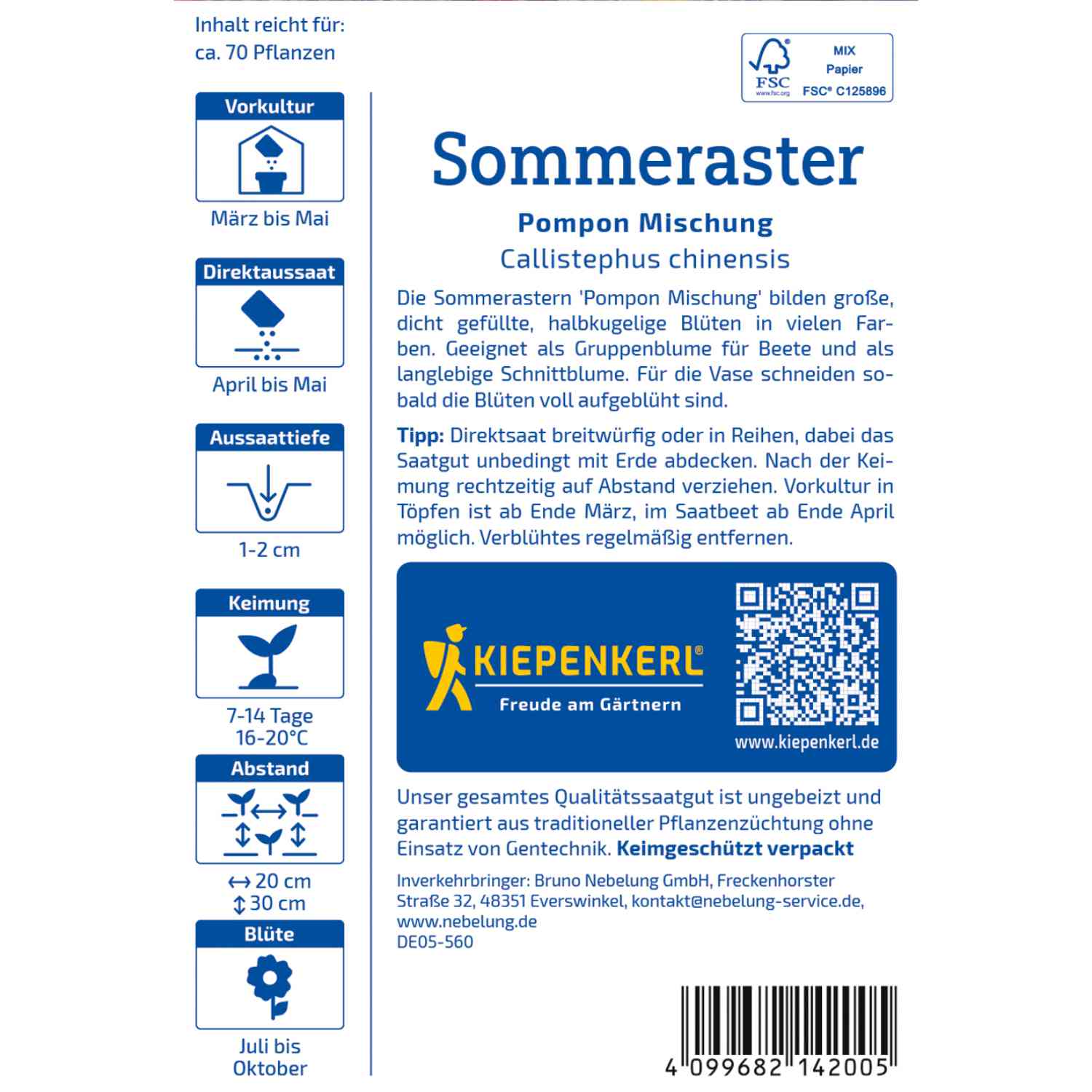 Sommeraster 'Pompon-Mischung'