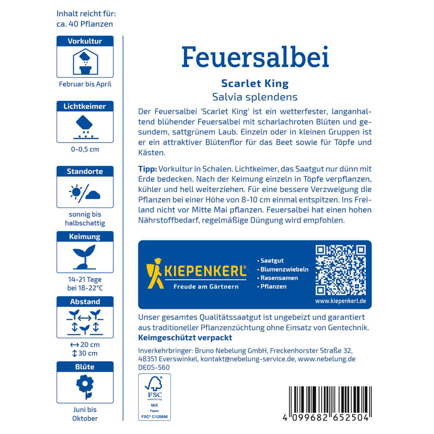 Salbei (Feuersalbei) 'Scarlet King'