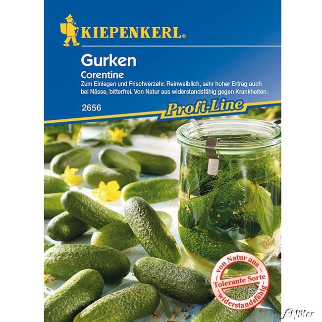 Einlegegurke 'Corentine' Lieferform: Portionssaatgut