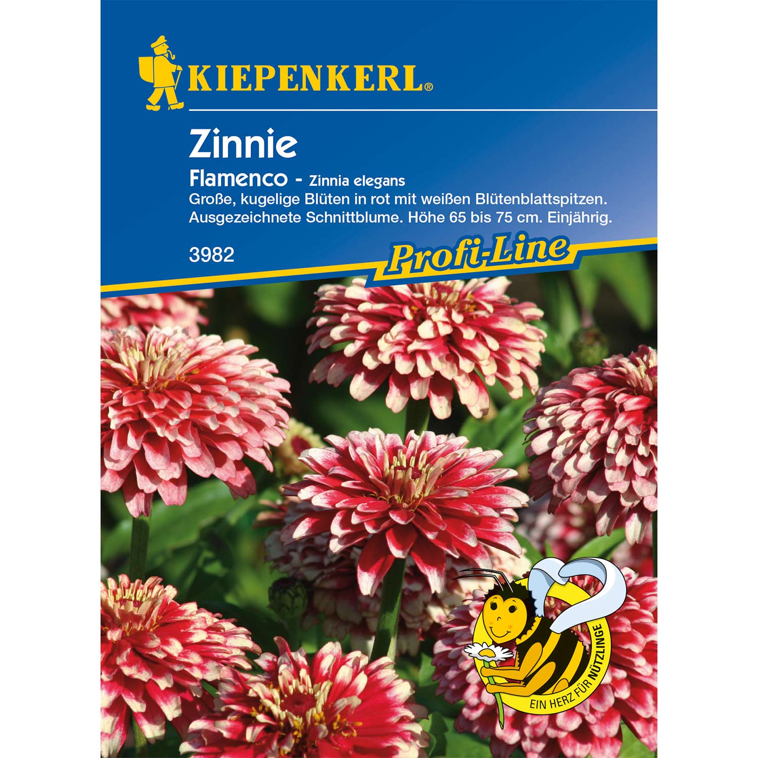 Zinnie 'Flamenco' Lieferform: Portionssaatgut