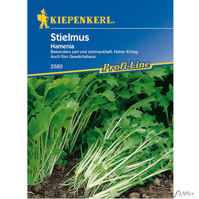 Stielmus/Rübstiel 'Namenia' Lieferform: Portionssaatgut