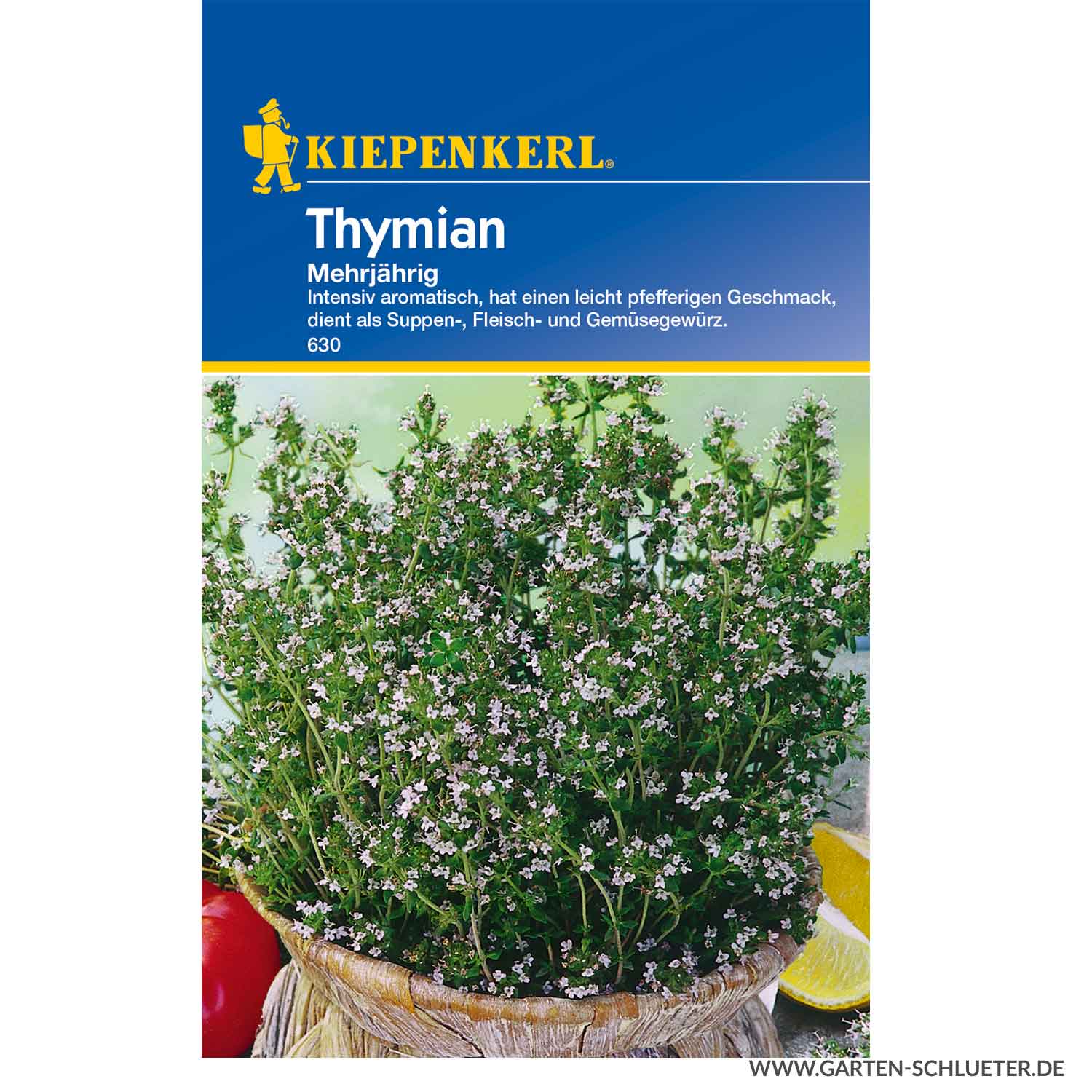 Thymian Mehrjährig Lieferform: Portionssaatgut