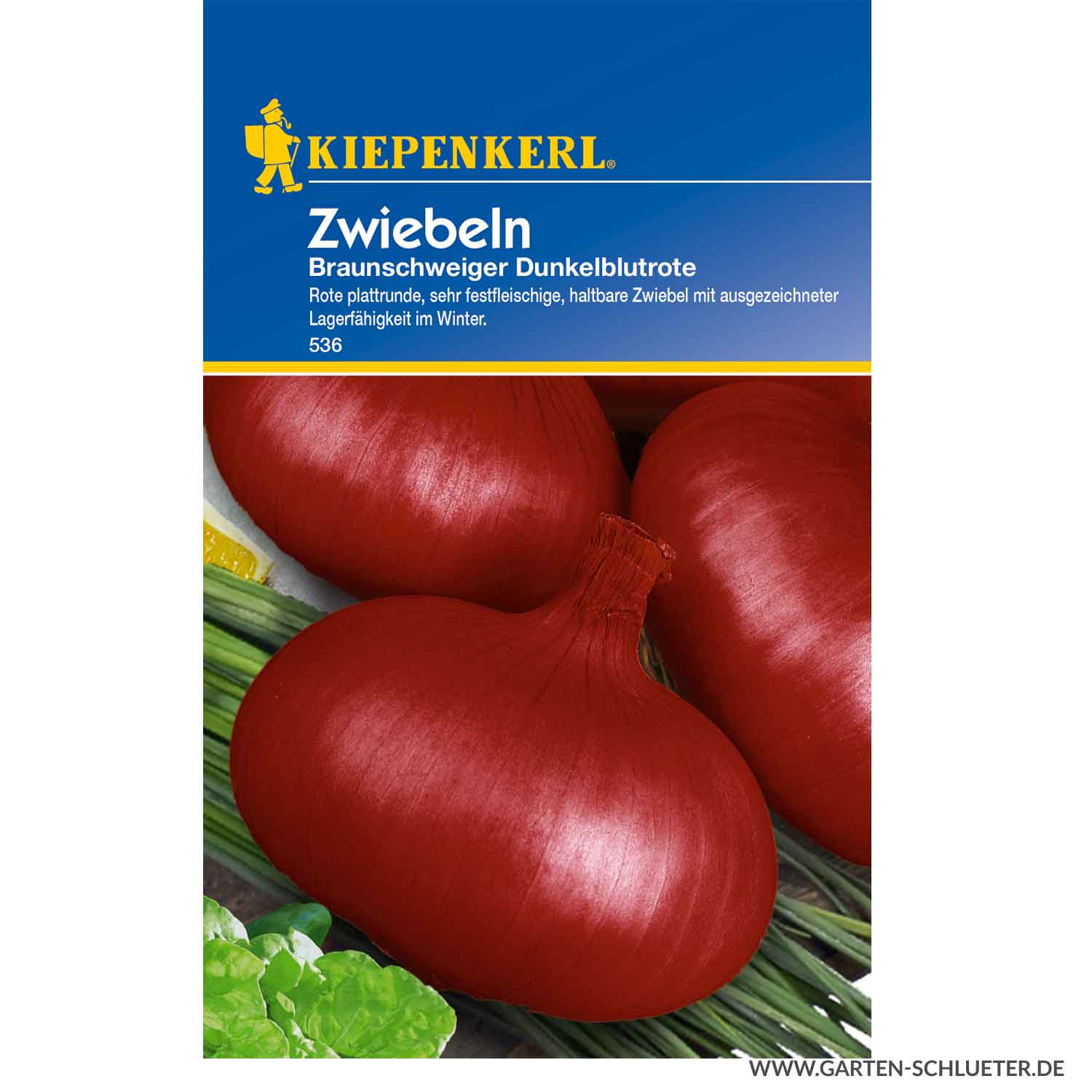 Kategorie <b>Gemüse-Samen </b> - Zwiebeln Braunschweiger dunkelrote/De Brunswick Lieferform: Portionssaatgut - Allium cepa